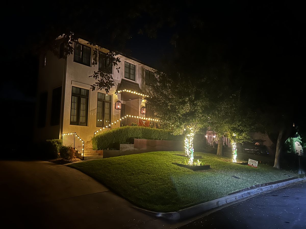 Tall front-yard trees wrapped trunk-to-branch in warm-white lights beside a home with a fully outlined roofline